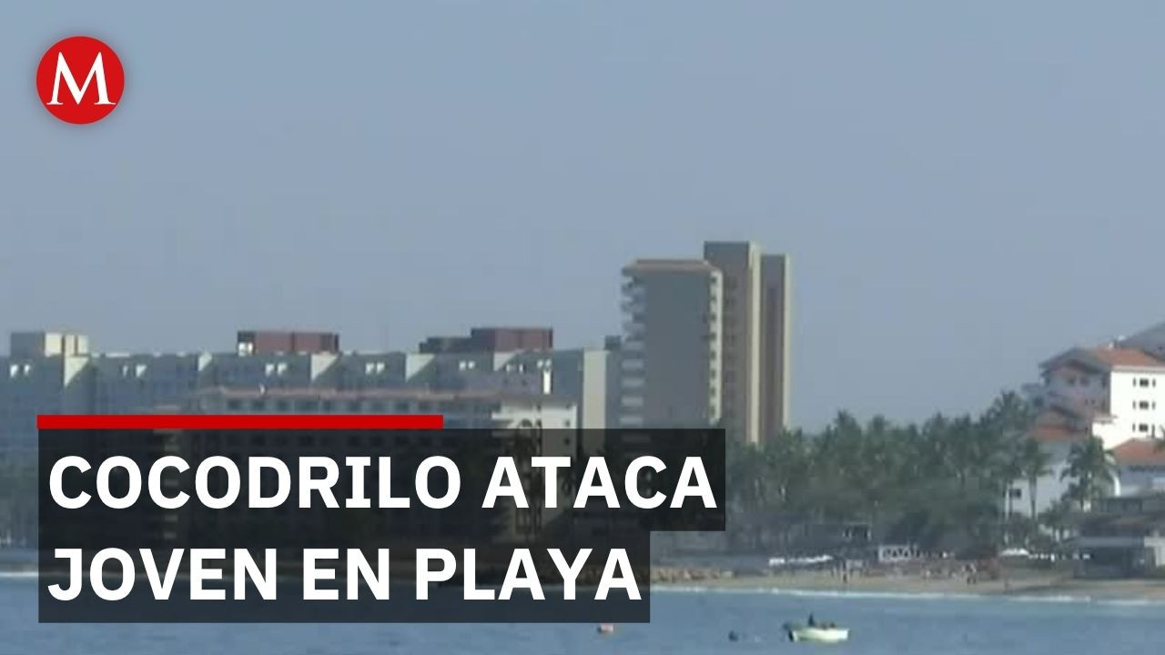 Joven desaparecido tras ser arrastrado por cocodrilo en playa de Puerto Vallarta