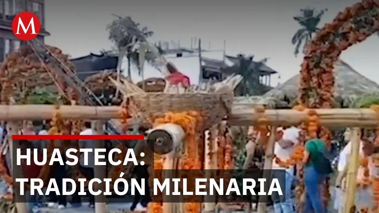 Familias de la Huasteca trabajan todo el año para que tú tengas flores en día de muertos