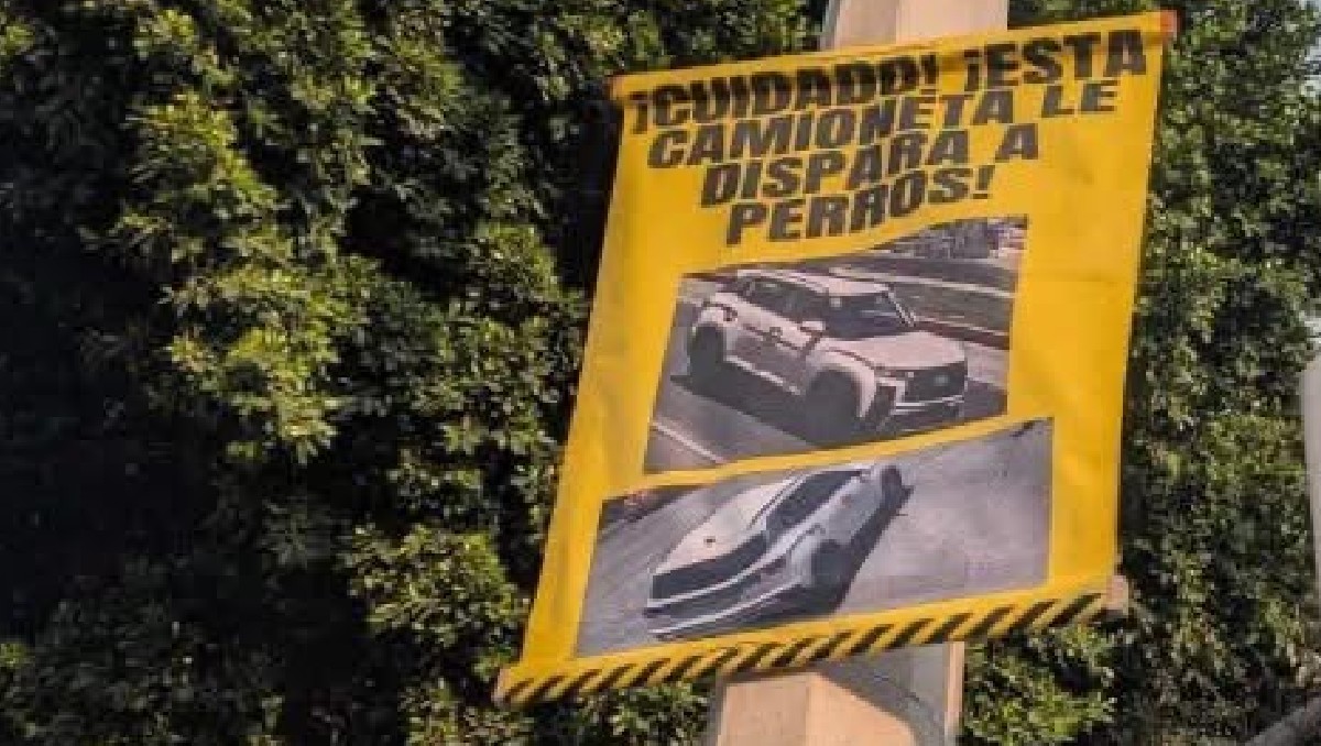 Fiscalía investiga denuncia por presuntos disparos contra perros en la zona de Tlaxcalancingo | Especial