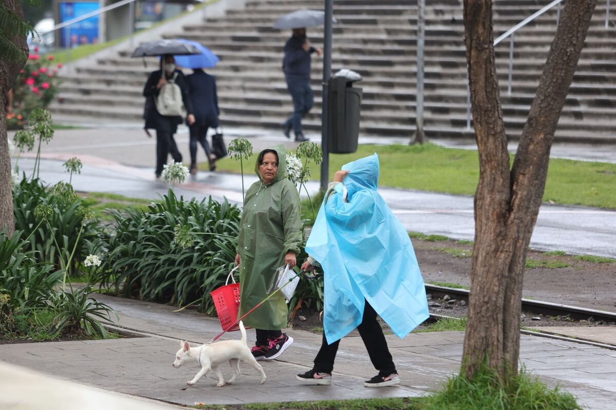 Lluvias CDMX | Foto: Cuartooscuro