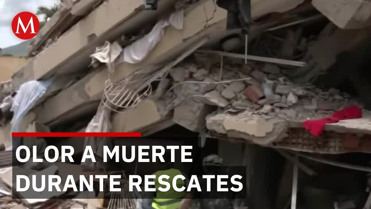 Rescatistas luchan contra el tiempo mientras olor a descomposición invade La Guaira