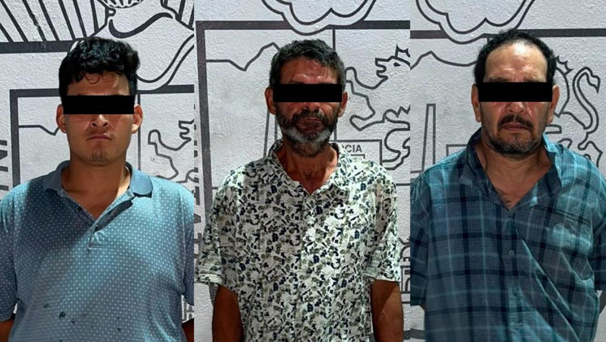 Los detenidos fueron identificados como Juan José "N", Tadeo "N" y Juan José "N". | Especial