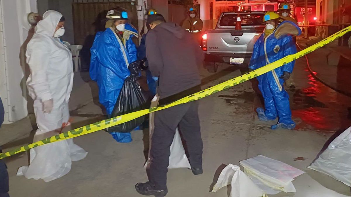 Se efectuó el retiro de los caninos fallecidos para evitar una posible propagación del químico. | Bomberos Voluntarios Acámbaro