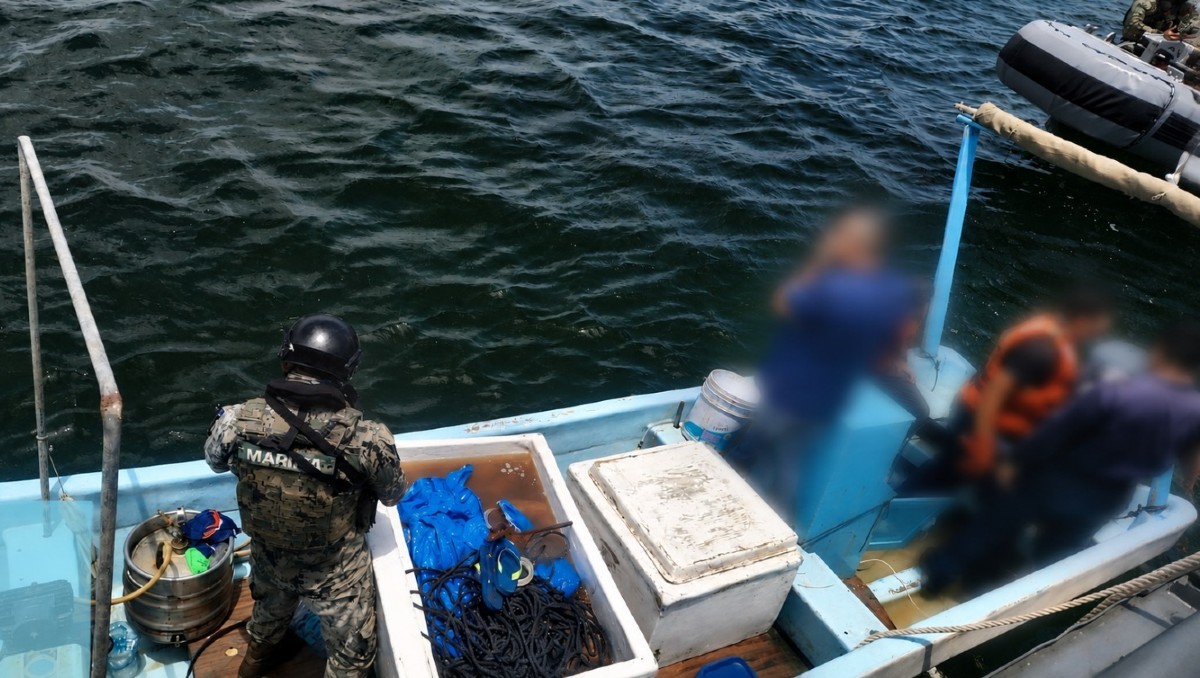 Tres personas fueron detenidas por transportar especies protegidas e intentar escapar de la Marina. | Foto: Especial