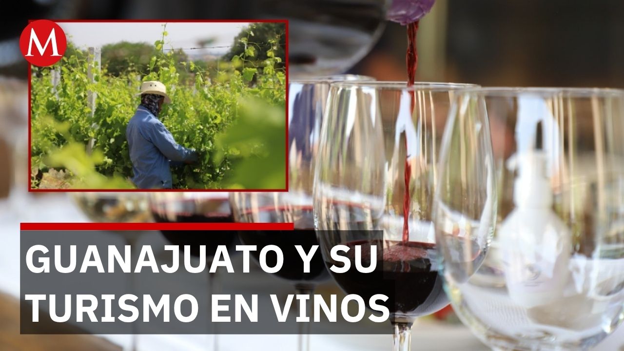 Festival cultural de Guanajuato lo consolida como 2.º lugar mundial en proyectos vinícolas