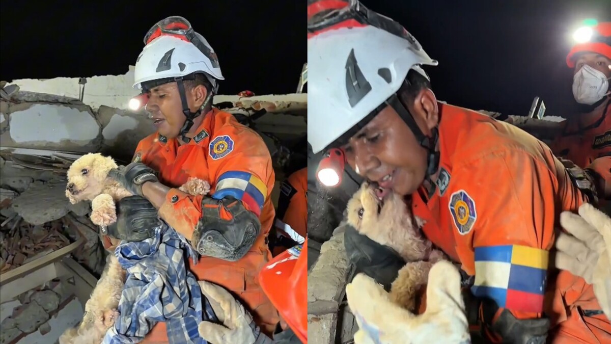 Rescatan a perrita Giselle tras terremotos en Venezuela | Especial