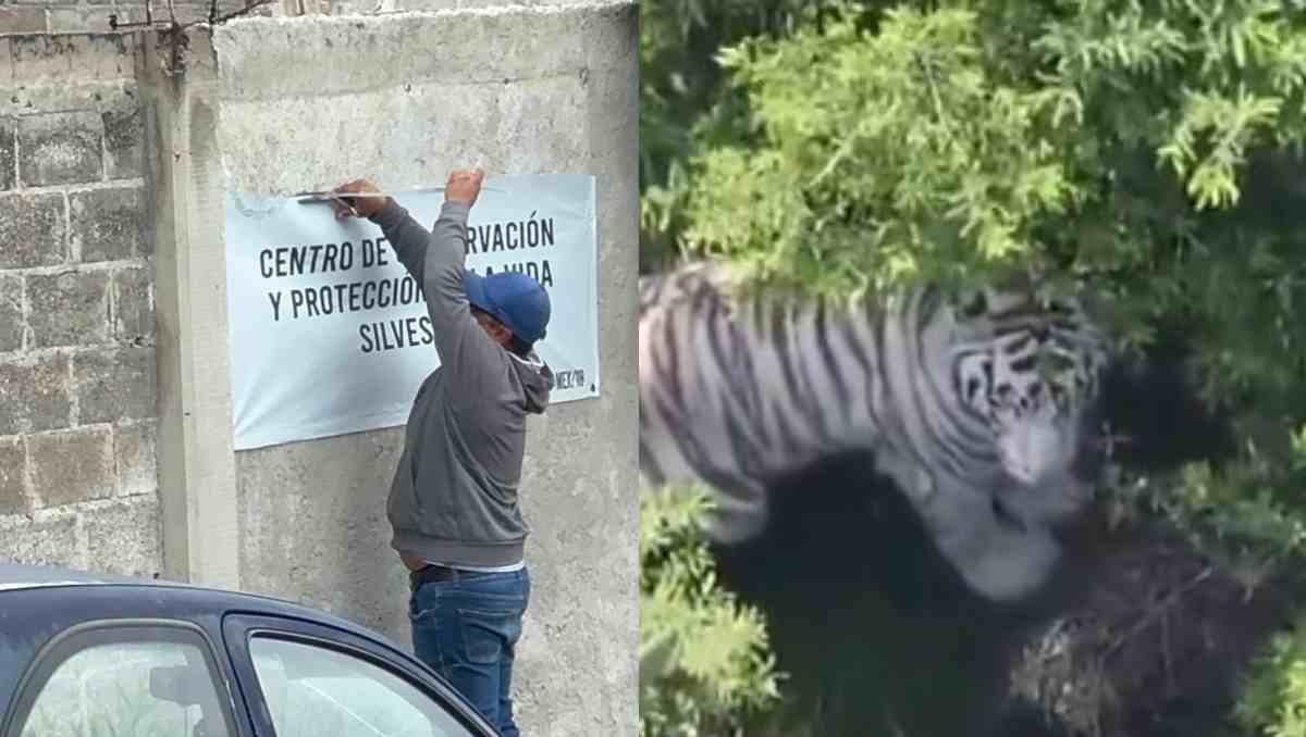 Este tipo de establecimientos pueden ser operados por personas físicas o morales, públicas o privadas. Foto: Especial