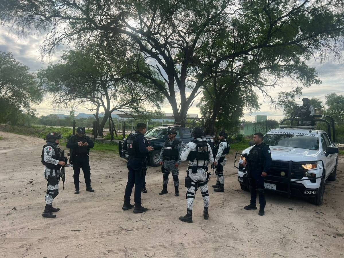 La violencia armada en la sierra de Choix, Sinaloa, provoca el desplazamiento forzado de seis familias. | Especial