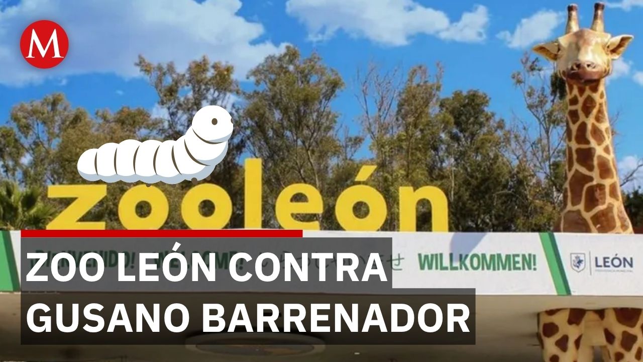 Zoológico de León detecta gusano barrenador; autoridades capacitan para prevenir propagación