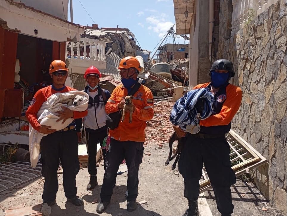 Rescate de mascotas en el terremoto de Venezuela; riesgo del abandono