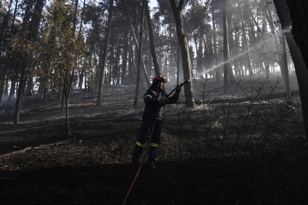 Bombero combatiendo incendio forestal |Foto: AFP