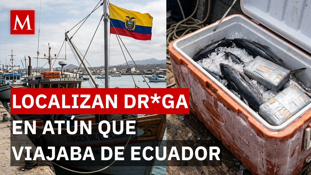 Camuflaje congelado: El FSB detecta 500 kilos de cocaína en terminal de contenedores