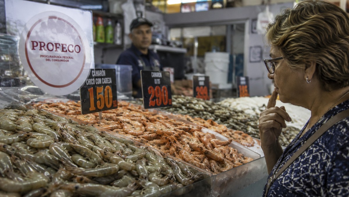 ¿Cuánto cuesta el kilo de camarón? Profeco revela precios | IA DISCOVER