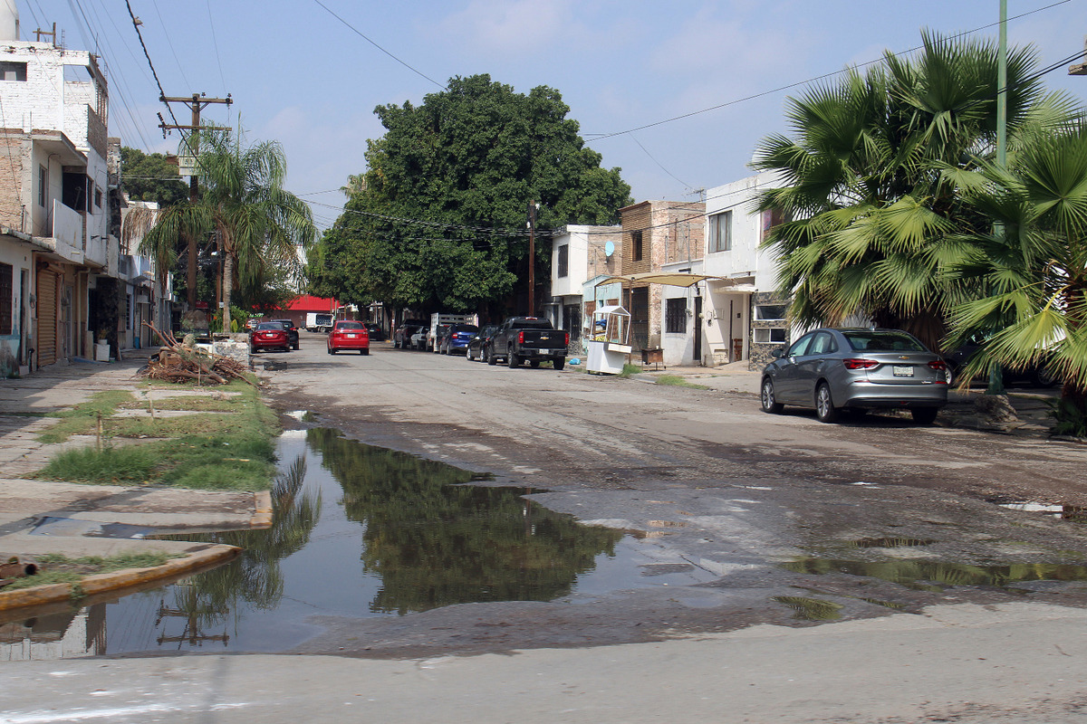 Humedad en los suelos pudiera aumentar riesgo de caída de árboles | Rolando Riestra
