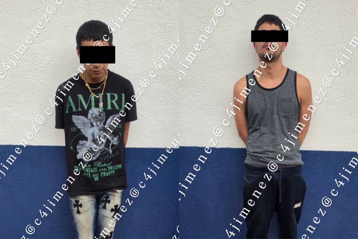 Los detenidos no asesinaron a sus objetivos.