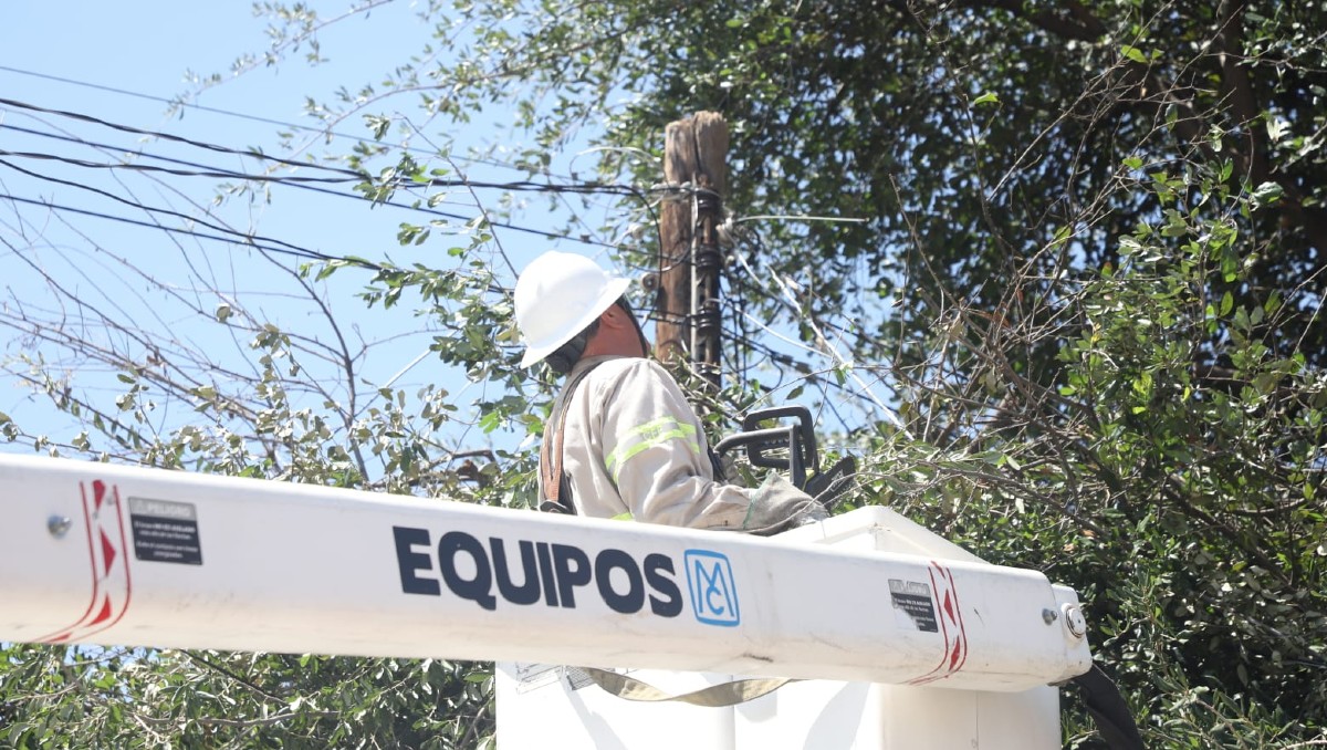 Las maniobras de la CFE consisten en la sustitución de postes de alta tensión. Foto: Luis Guerra