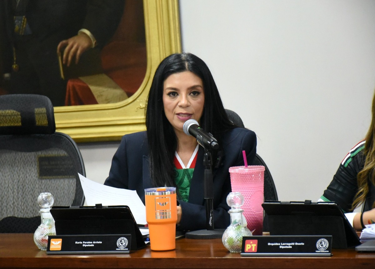Prohíben cirugías estéticas en menores de edad en Hidalgo. (Cortesía)