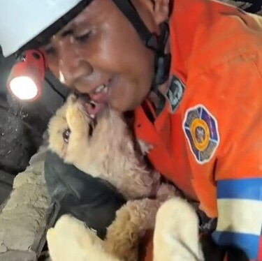 Rescatan a perrita Giselle tras terremotos en Venezuela | Especial