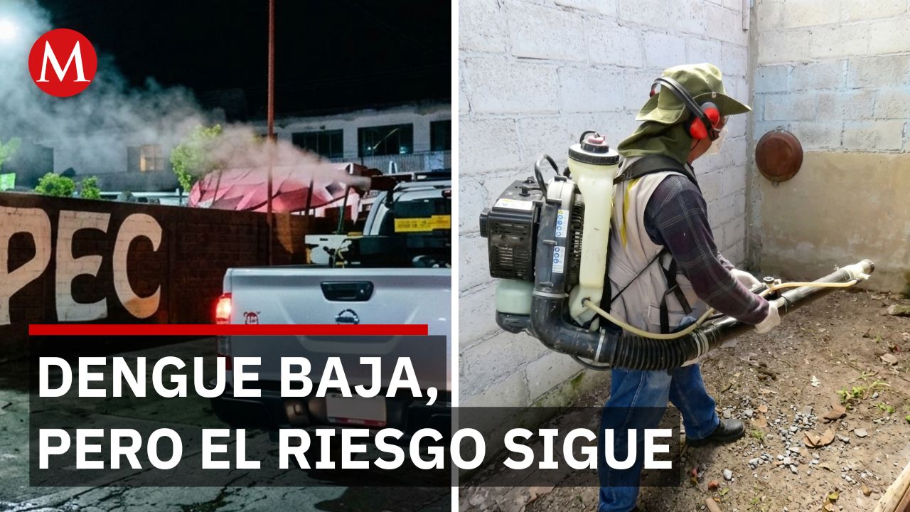 Dengue en Hidalgo desciende 88.5%, pero autoridades refuerzan medidas preventivas