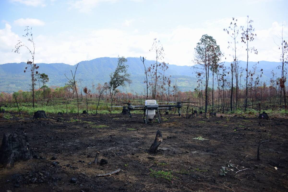 Dron de reforestación en Michoacán |Foto: Elizabeth Guzmán
