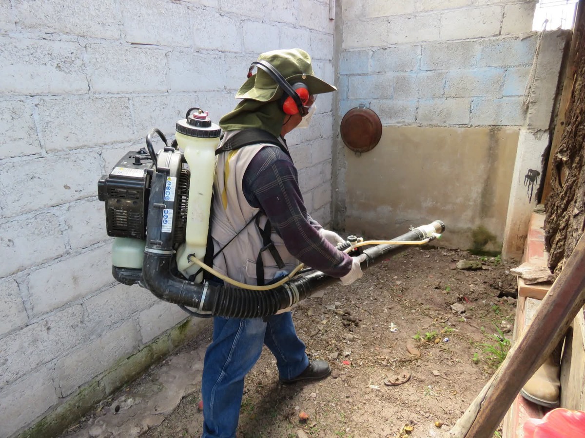 Hidalgo reporta cuatro casos de dengue; refuerzan prevención