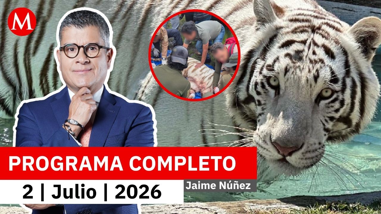 Muere el tigre 'Kenso' tras operativo para su resguardo | Jaime Núñez, 2 de julio de 2026