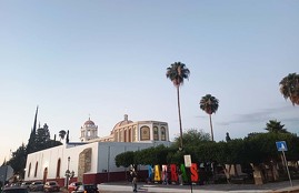 Coahuila como nunca antes: viaje sensorial por Parras, cuna del vino en América, y el legado de los imponentes dinosaurios en Saltillo.