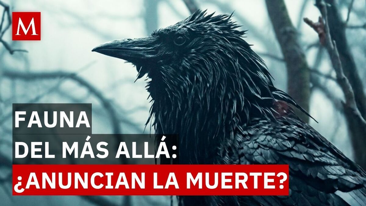Estos son los animales vinculados al reino de los muertos