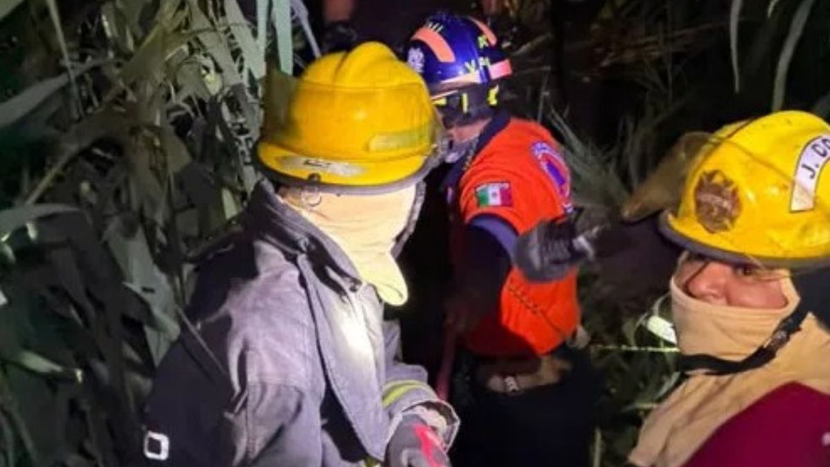 Joven es rescatado con vida tras volcar en Río.  | Redes Sociales