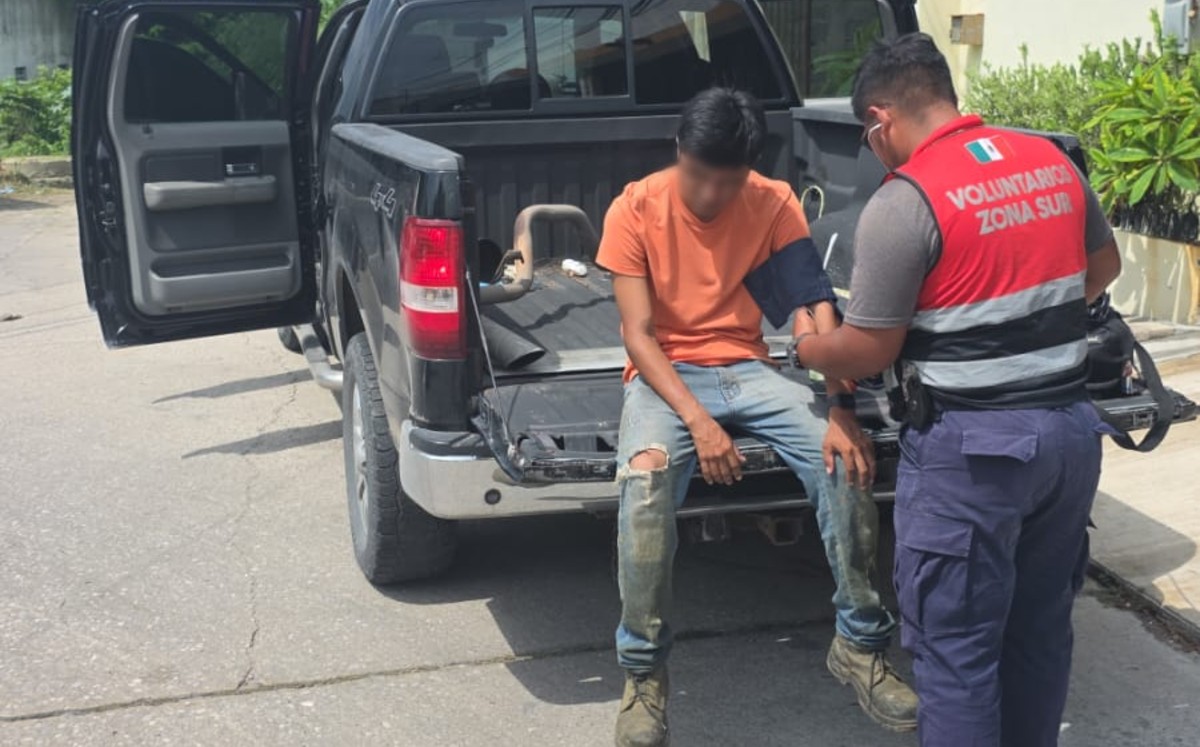 Trabajador de Tampico es atacado por abejas. | Cortesía