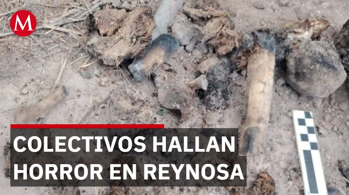 Colectivos de búsqueda descubren presunto campo de exterminio en Reynosa, Tamaulipas