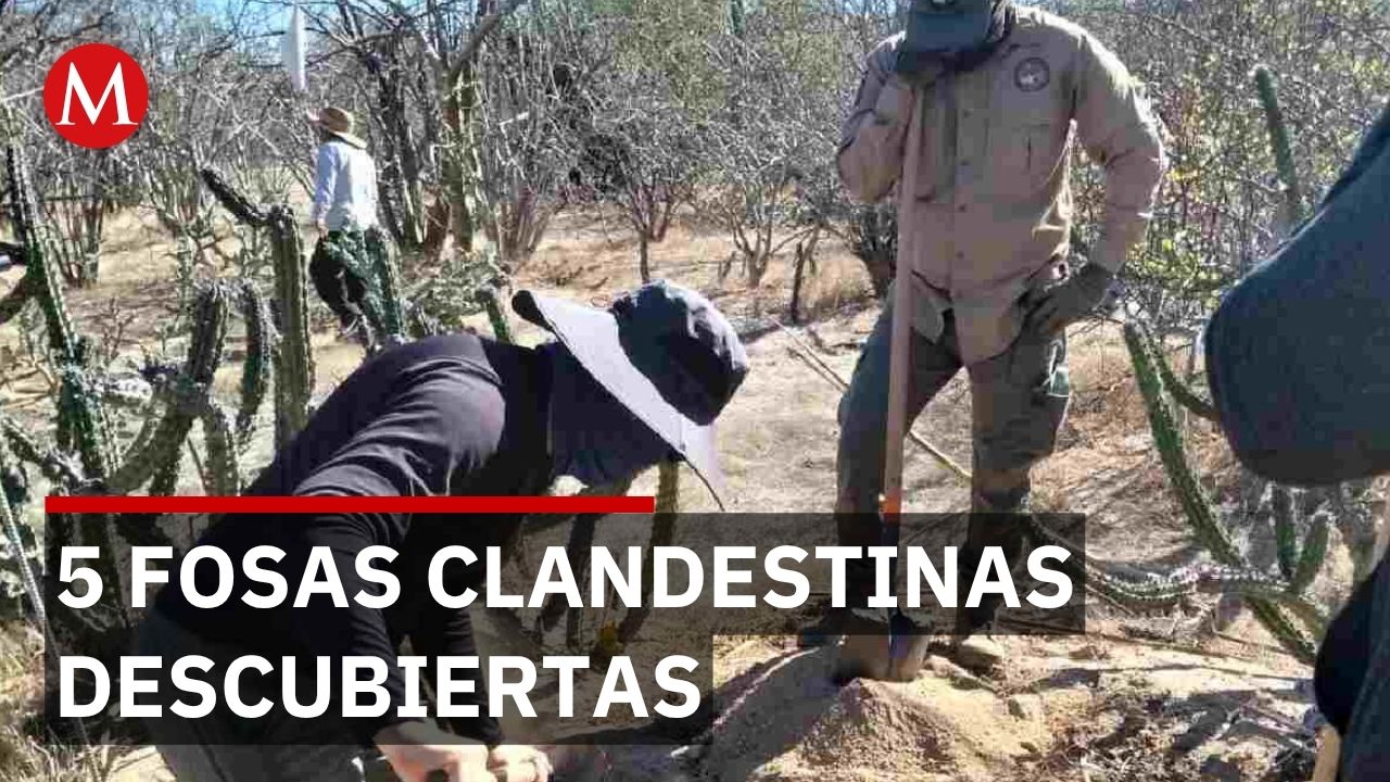 Madre de desaparecido pide ayuda a Sheinbaum durante exhumación de osamentas en BCS