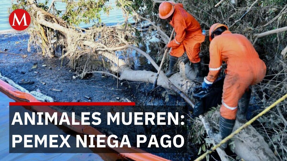 PEMEX debe pagar daños a ganaderos de Agua Dulce tras contaminación de arroyo