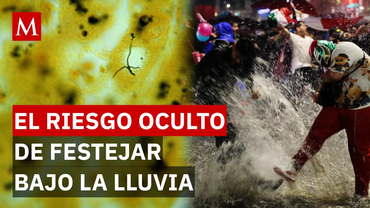 ¿Festejaste en el Ángel bajo la lluvia? El agua de los charcos puede esconder algo muy peligroso