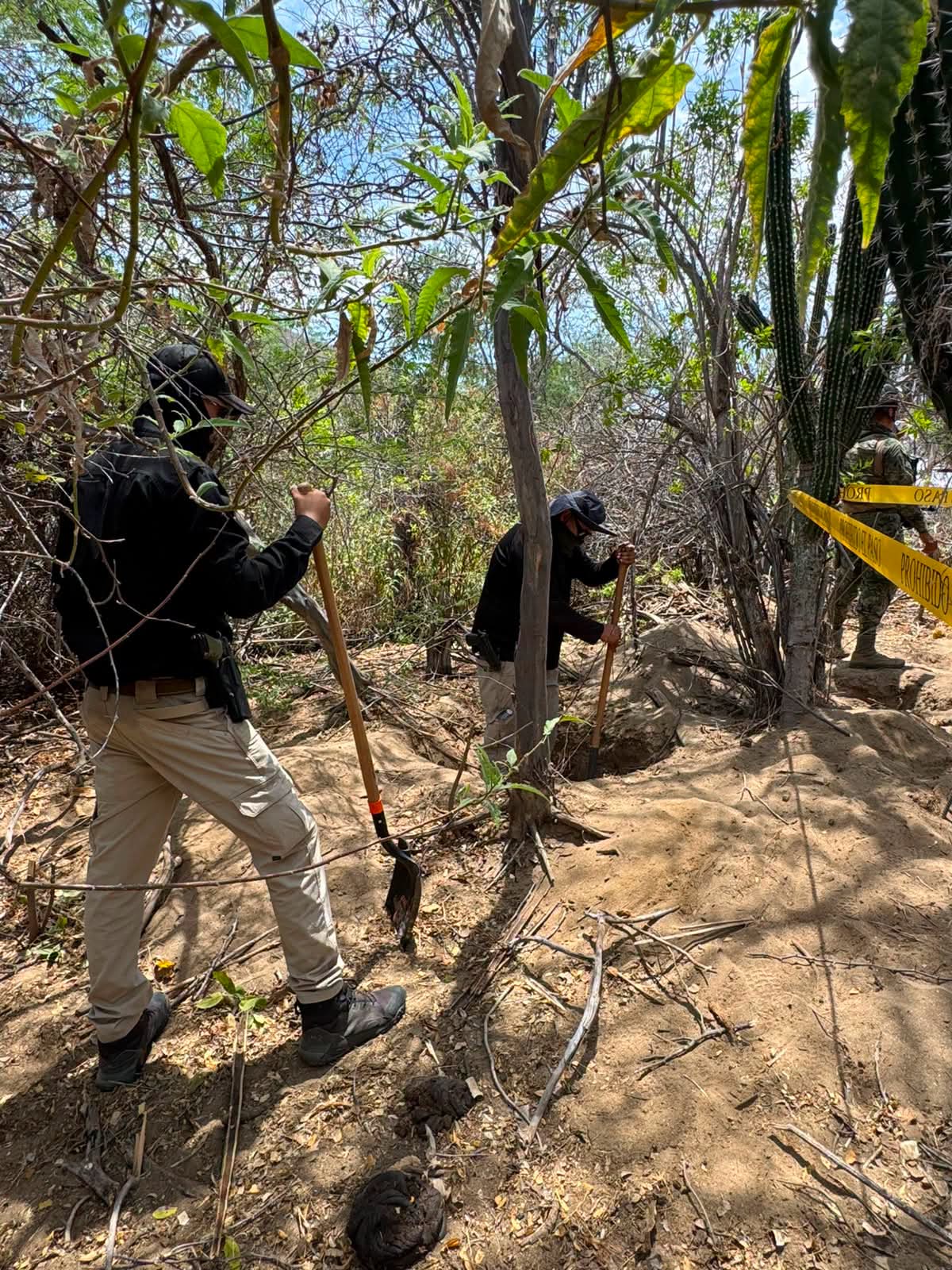 Hallan fosas en Los Cabos mientras familias claman ayuda a Sheinbaum. | Foto: Shisell Morales