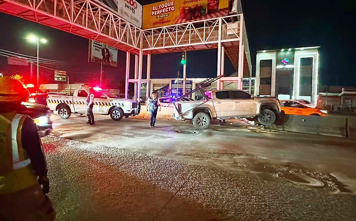 Hombre choca contra ballenas de concreto en Torreón | Eunice Muñoz