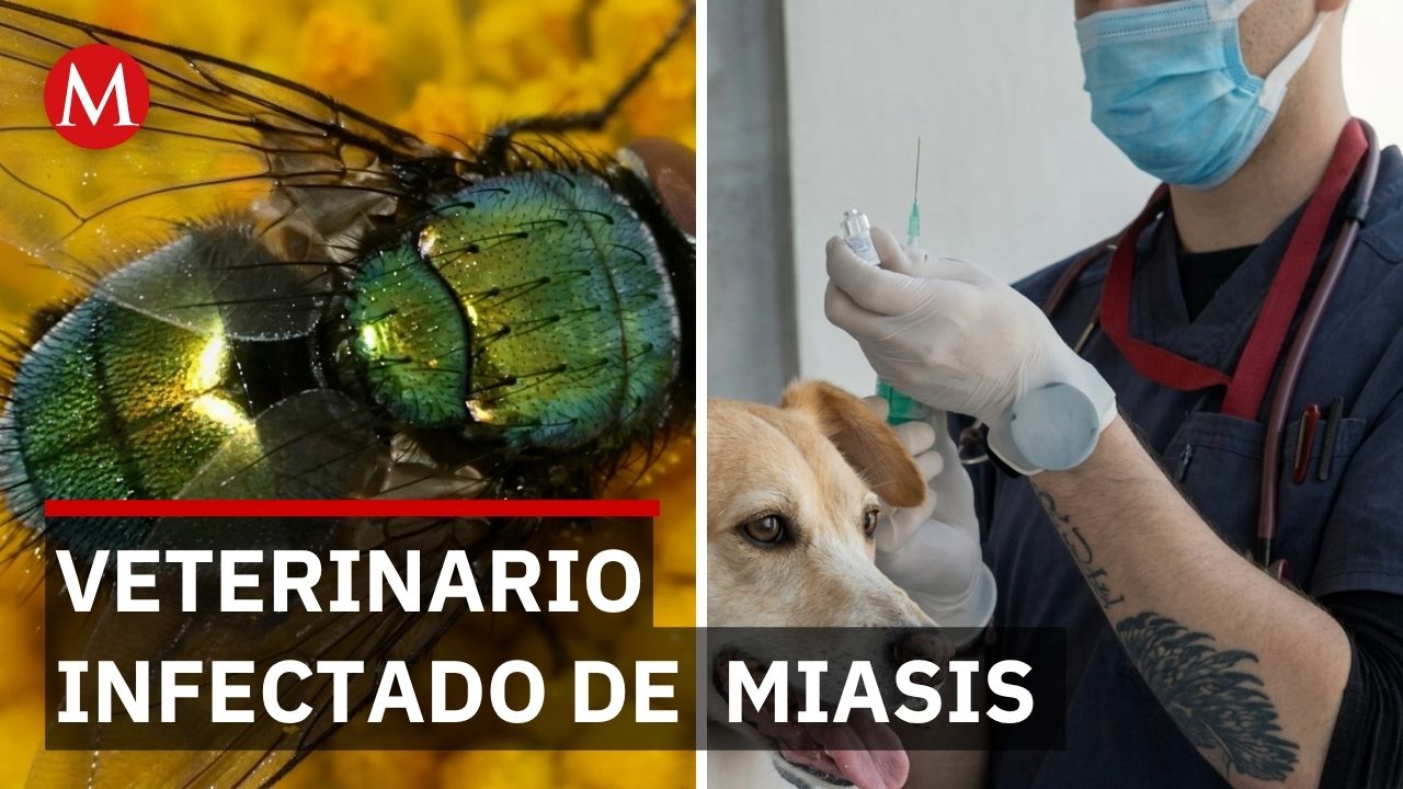 Alerta en Coahuila: Veterinario vivió 3 meses infectado con larvas de gusano barrenador
