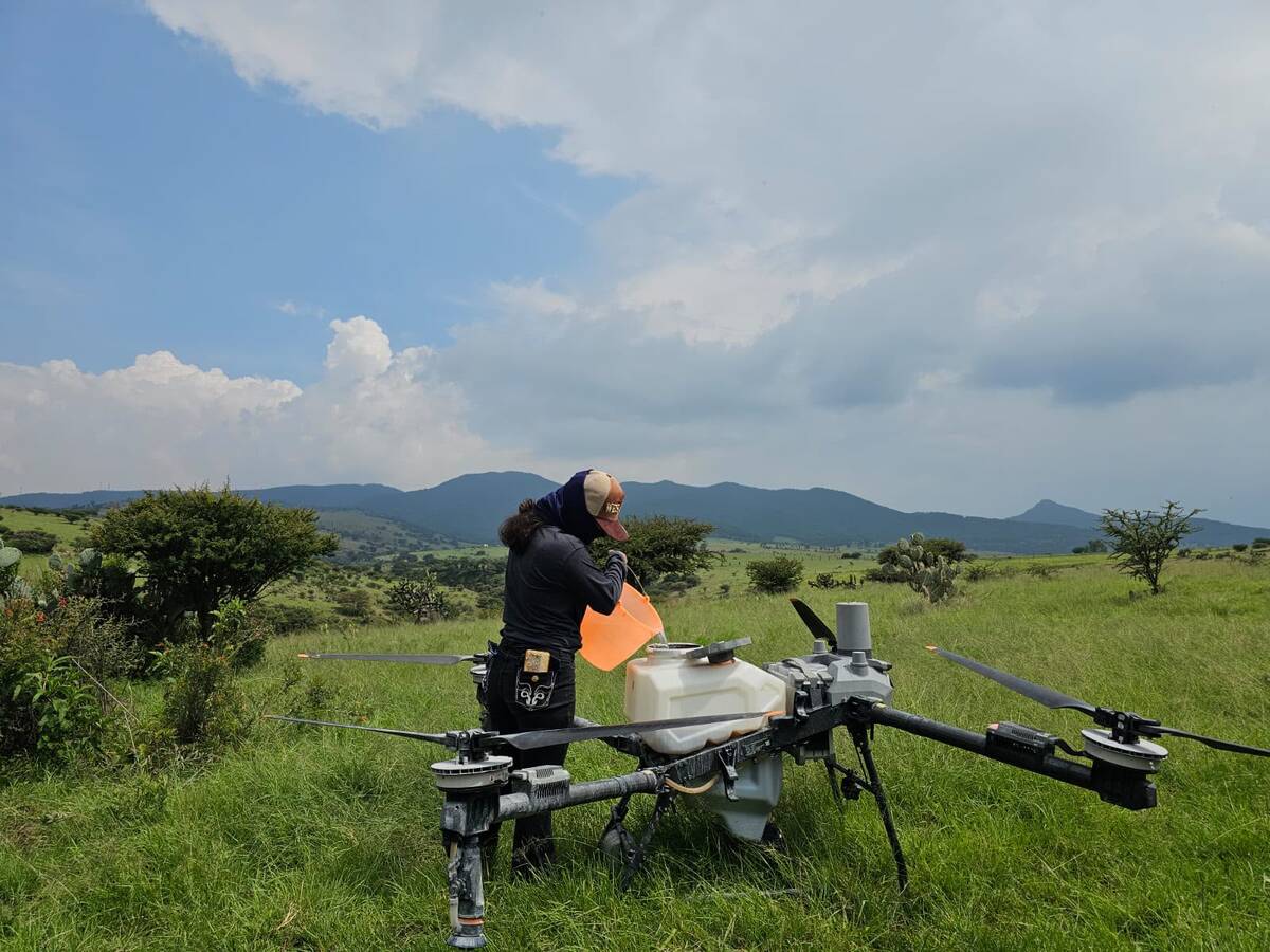 Estudiantes apoyarán proyectos del campo en Tepeji. (Cortesía)