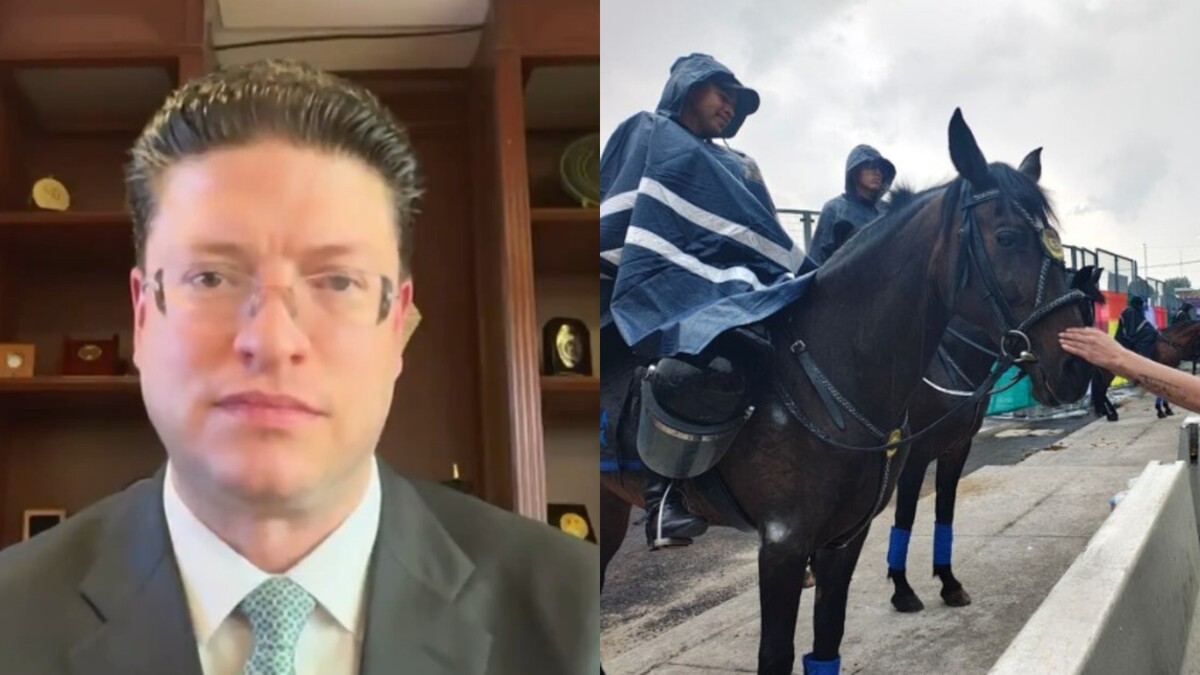 "Fuimos una sede con un ambiente privilegiado", dijo Vázquez Camacho para MILENIO Televisión. | Especial