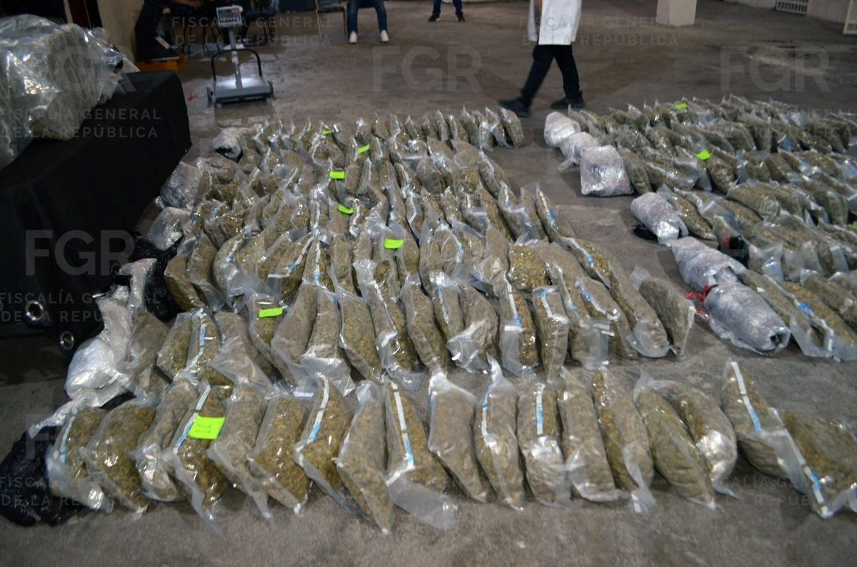 En Coahuila, condenan a hombre por transportar 152 kilos de marihuana. | Cortesía FGR.