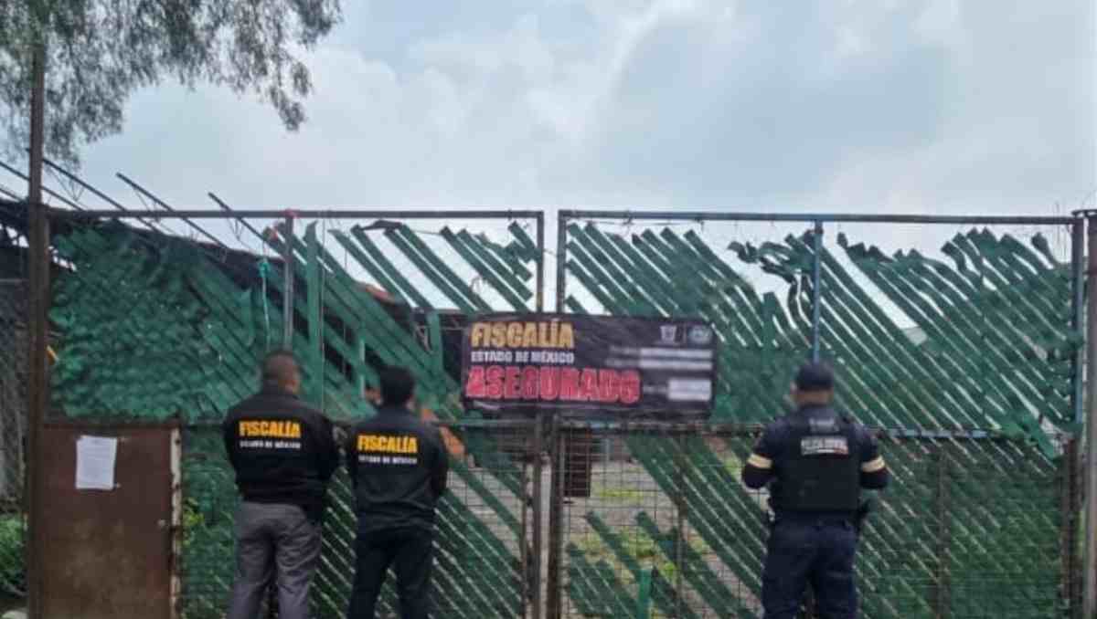 La FGJEM recuperó un vehículo de carga con reporte de robo durante un cateo en San Mateo Iztacalco; el predio fue asegurado. | Foto: Especial