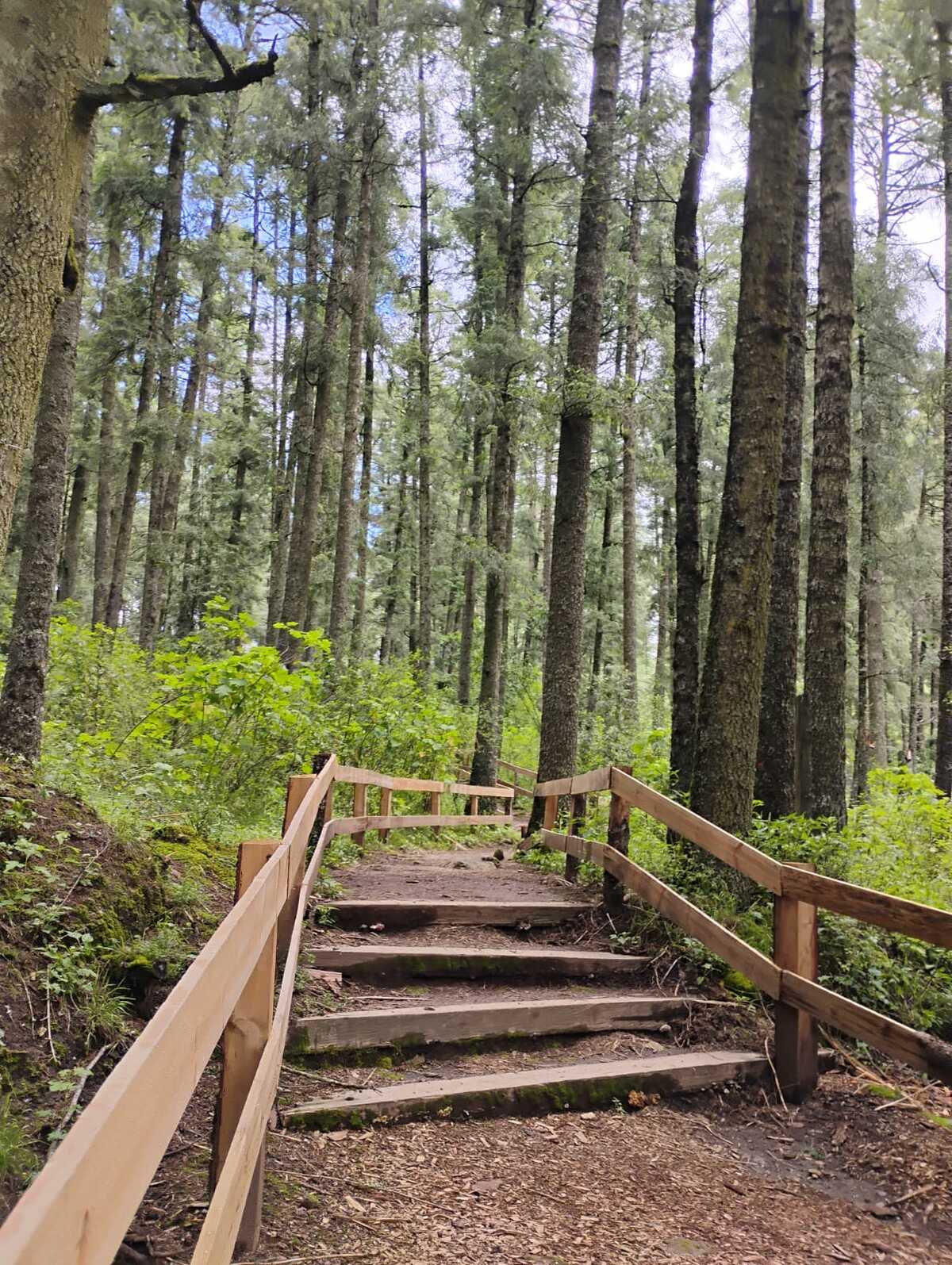 Parque Nacional El Chico (Alejandro Reyes)