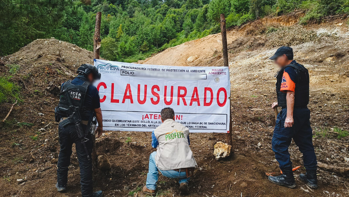 Profepa clausura mina ilegal de feldespato en Zacatlán | Cortesía