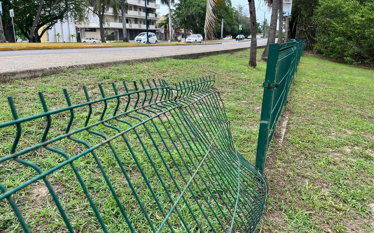 Existe el riesgo de ataque al quedar expuesta el área de los saurios en la laguna del Carpintero.| YAZMÍN SÁNCHEZ