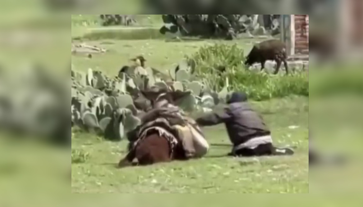 El agresor fue denunciado por personas que captaron el momento de la golpiza. (Foto: especial)