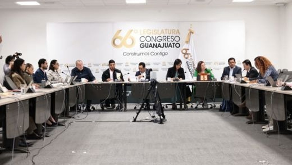 Congreso de Guanajuato concluye mesas sobre despenalización del aborto | Especial