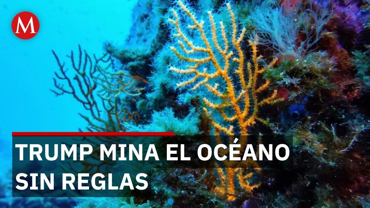 Greenpeace protesta contra minería submarina de Trump en aguas internacionales del Pacífico