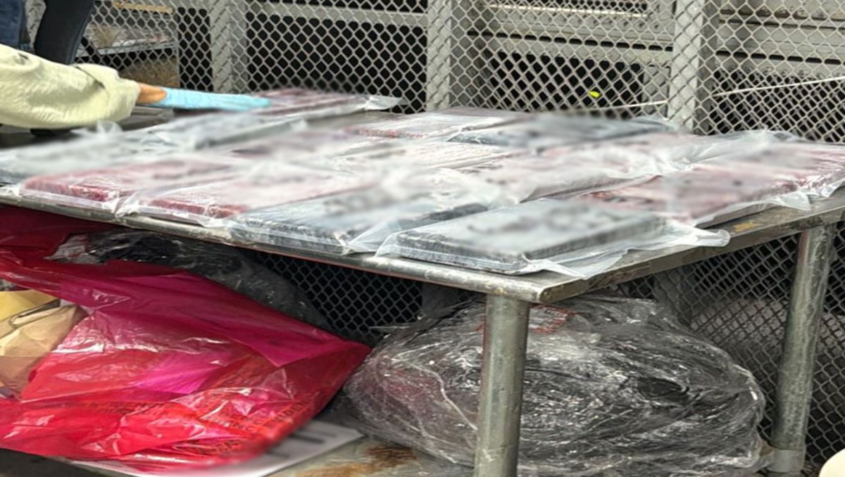 El cargamento de 165 kilogramos de cocaína fue interceptado por fuerzas federales en Baja California| Foto: Especial