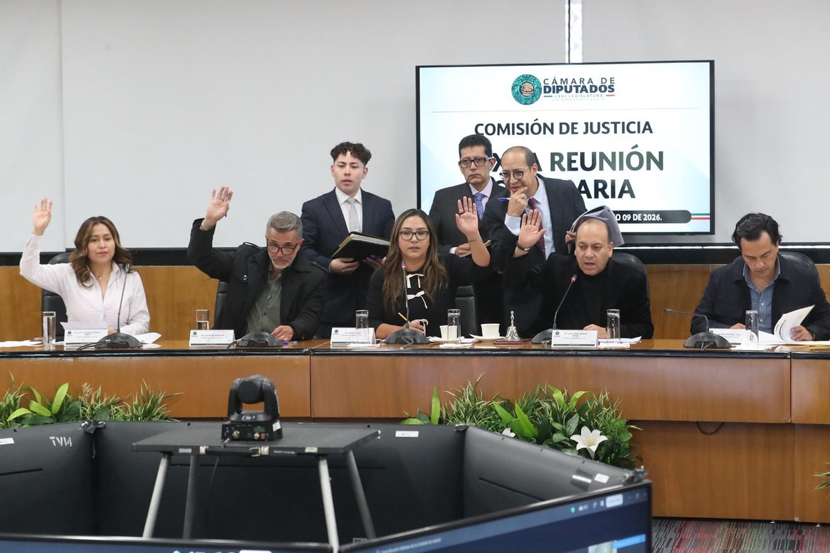 La Comisión de Justicia de la Cámara de Diputados discutió la iniciativa. | Foto: Especial