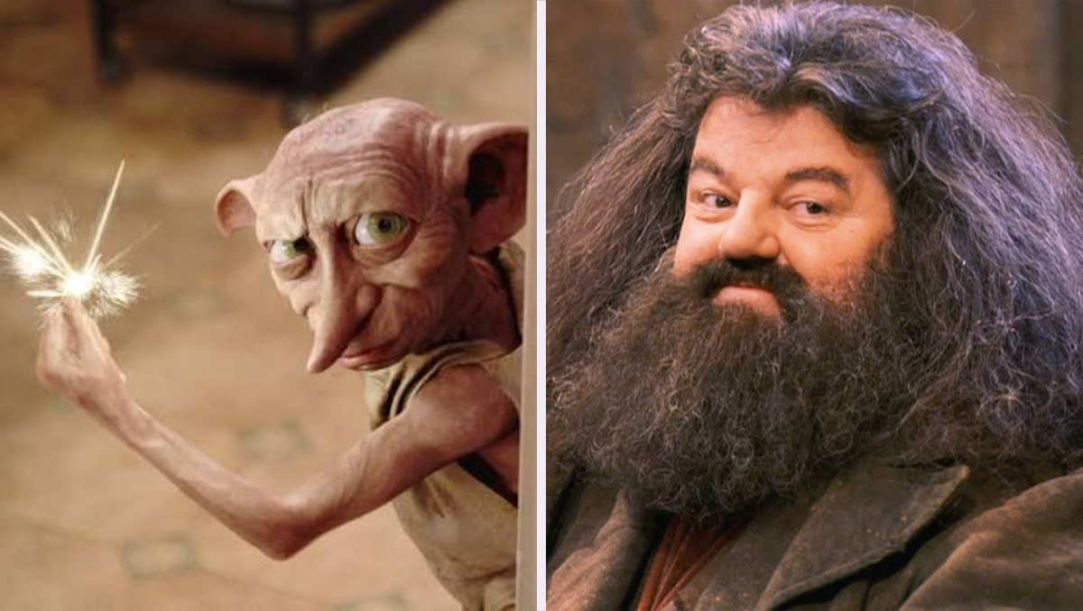 Dobby y Hagrid (Foto: Especial)